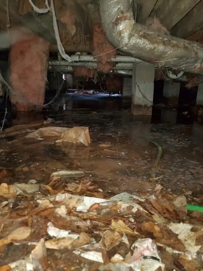 Crawl space flood assessment for Leak Detection & Repair in Helena Valley Southeast